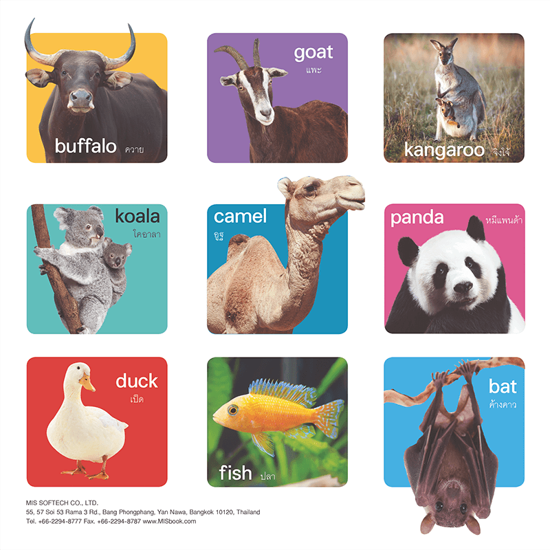 หนังสือลอยน้ำ 100 First Animals
