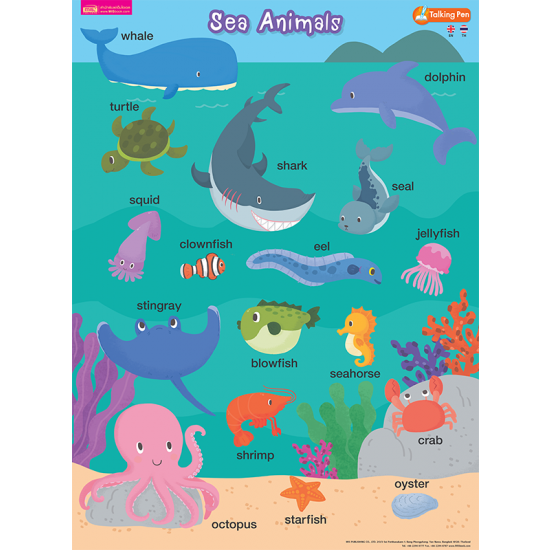 โปสเตอร์พลาสติก - Sea Animals