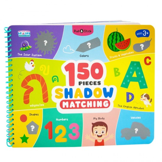 Pull & Stick 150 Pieces Shadow Matching
