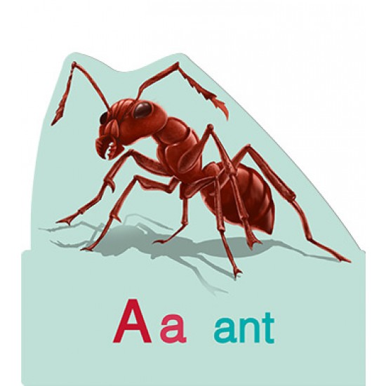 การ์ดหนูชอบอ่าน ABC