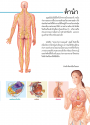 ระบบร่างกายมนุษย์ (New Edition)