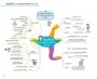 Mind Map สรุปเนื้อหาเตรียมสอบ ก.พ. ความรู้และลักษณะการเป็นข้าราชการที่ดี