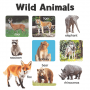 100 First Animals (Board Book)