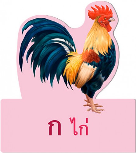 การ์ดหนูชอบอ่าน ก ไก่