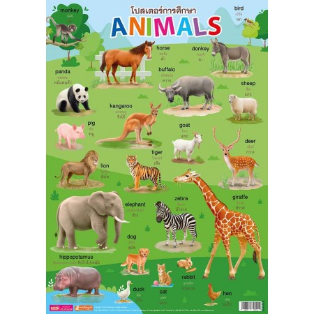 โปสเตอร์การศึกษา Animals