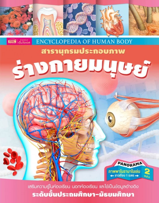 สารานุกรมประกอบภาพ ร่างกายมนุษย์