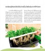 ไฮโดรบอกซ์ ปลูกผักไม่ใช้ดิน ต้นทุนตำ่ทำง่าย