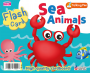 Flash Card - Sea Animals