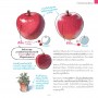 TIPS! หนังสือรวมเคล็ดลับที่จะช่วยให้คุณอยากวาดรูป